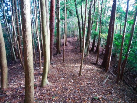 尾根道はこまめなアップダウンがあるものの、まあ楽だった。ただ、雰囲気が変わらないのでつまらなかった