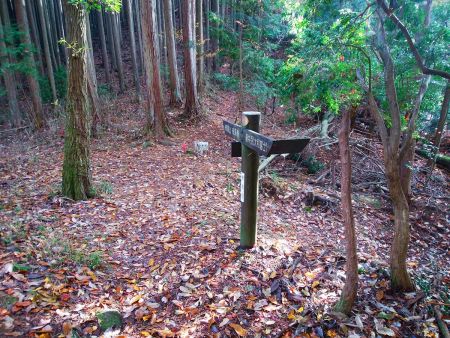 ここが戒場峠かな。ここから戒場山への登りがはじまる