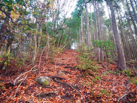 あれがピークか！と思ったら山頂はもう少し先だった