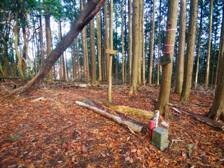 戒場山(737.4m)山頂に到着。この山頂も何もなかったけど、額井岳からぶっとおしで歩いてきたのでちょっと休憩した