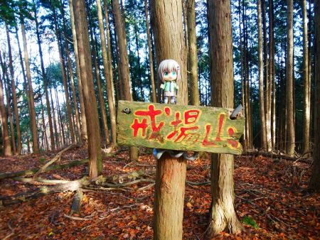 せっかくなのでここでも雪村あおいちゃんを撮影