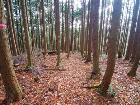 10分ほど休憩して下っていくことにした