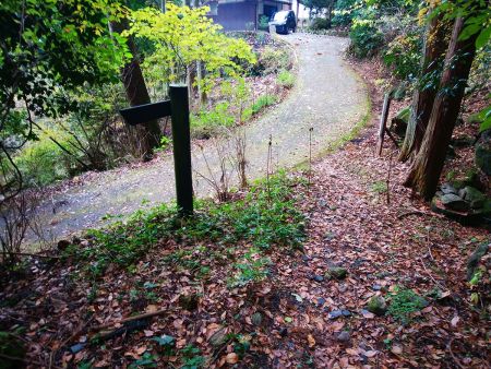 ひたすら下りが続いて舗装道にでた。右側が戒長寺だと思われる