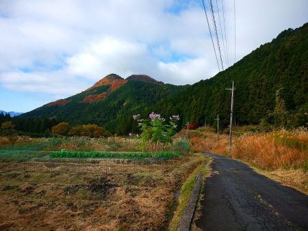 あの見えてる山のところまで歩いて行くのかと思ったらちょっと嫌になった