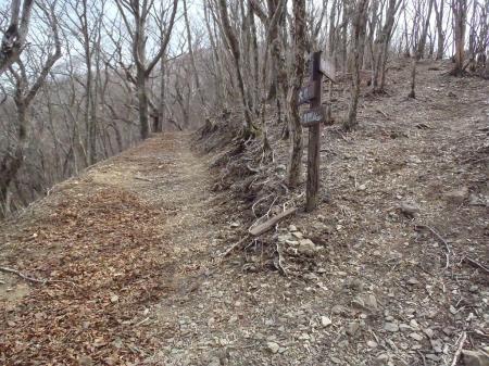 大股の分岐。これを右へ