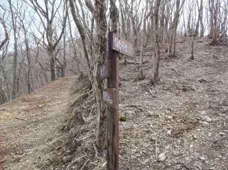 ここから登山らしく登りになる