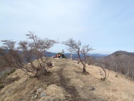 山頂はこんな感じ