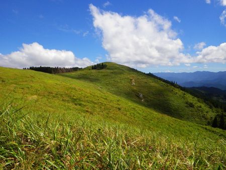 向こう側に見えてるピークが生石ヶ峰だろう。距離にして1kmと記載されていたけどそんなにあるかな！？