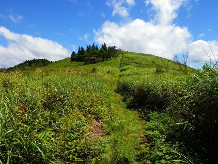 これを登れば山頂かと思うけど、生石ヶ峰のピークはこれを登ったさらに上になる