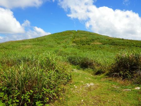 一旦登ってさらにピークへ登る。今度こそ生石ヶ峰の山頂だろう