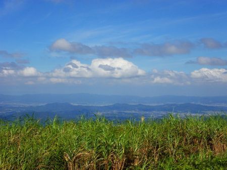 生石ヶ峰の山頂から北側を見ると市街地が見えるけど紀の川市あたりかな！？