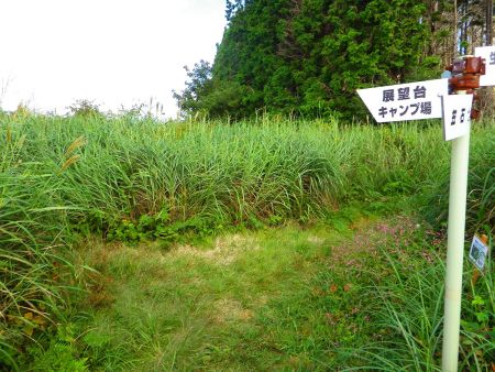 分岐に戻ってピストンはつまらないので展望台経由で下っていくことにした