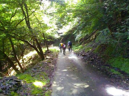 夏の晴天での林道歩きは汗ダクダク～