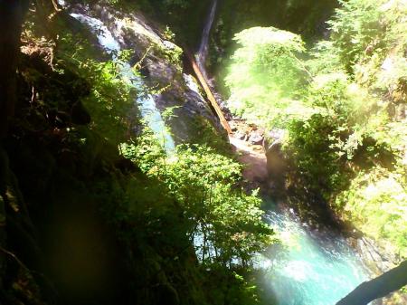 これだと三ノ滝が登れないのでまた登って入渓できそうなところまで移動