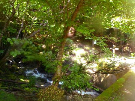 伊藤新道出合（白滝山）のここから沢へ降りれるので入渓