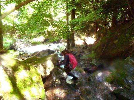 暑いのではよ沢へ～～～～～