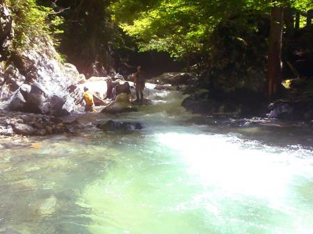 沢の水が結構綺麗