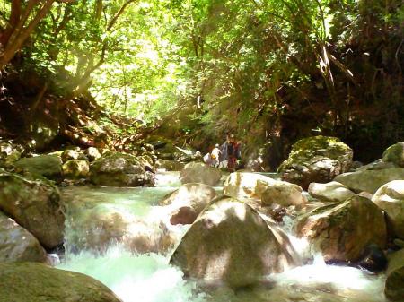 気を取り直してスタート