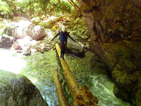 自然のハシゴ。流れが激しいのでS嬢はできるだけ巻くようにした