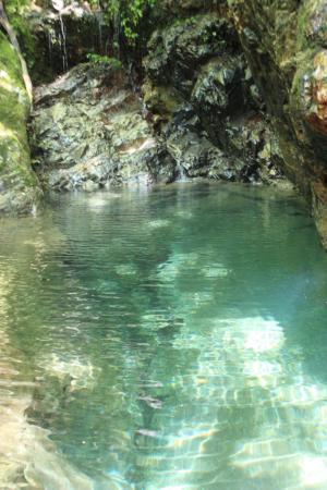 綺麗なオアシスみたいなところがあった