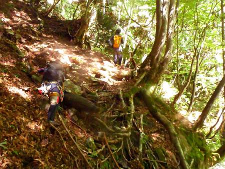巻きポイントが見つからずルーファイ
