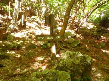 登山道（渡渉地点）の道標