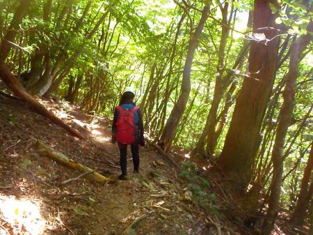 この登山道も牛コバまでのジグザグが長かった