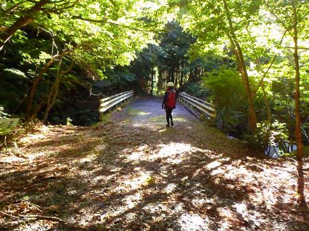 また長い林道を下る