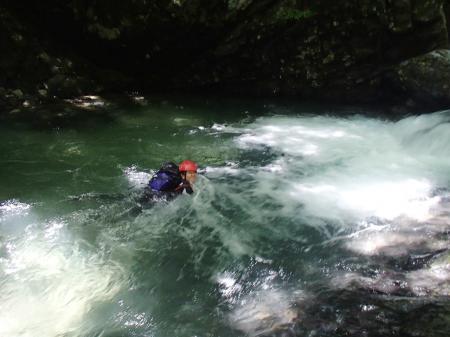 流れに逆らって登ろうとしたけど無理だった