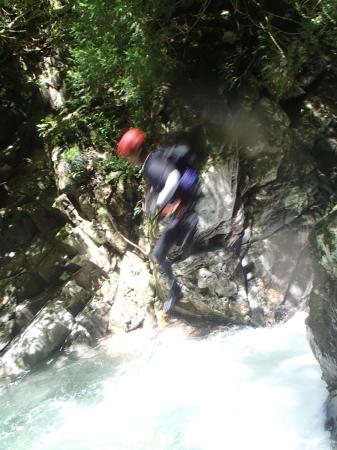 撮影したいただいた飛び込み