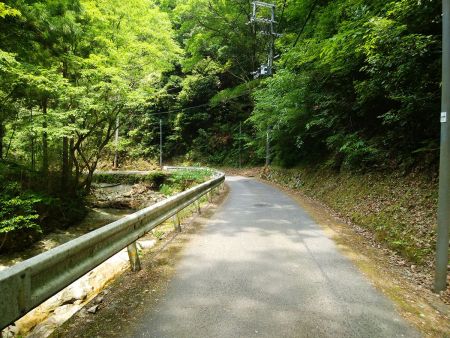 林道を歩いていって登山道入口までいく