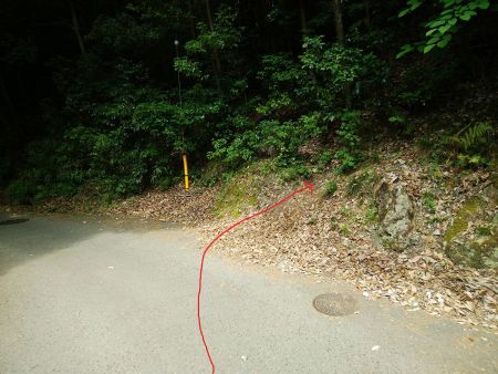 ここを右側へ登っていく。ちゃんと踏み跡があるのでわかりやすい