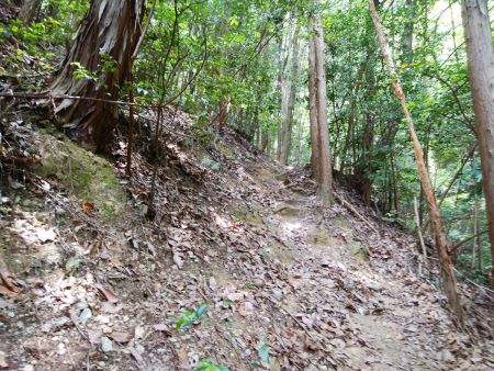 いきなり急登がはじまってペース早かったので息が切れてしまった