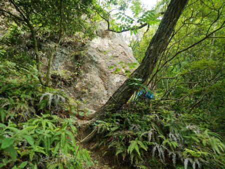 岩場を巻くために右側の登山道を登っていく