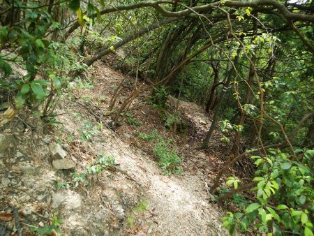 ルーファイしながらどこで尾根に取り付くのか考えながらトラバースしていく