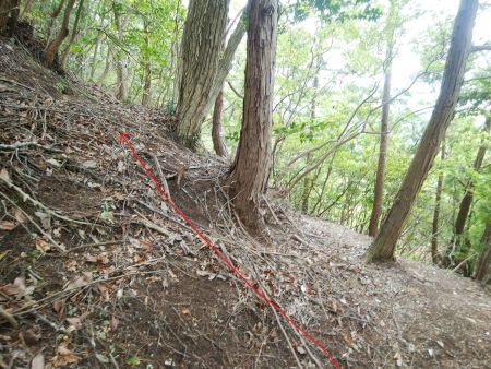 ここで尾根が見えたので左側の斜面を登っていく