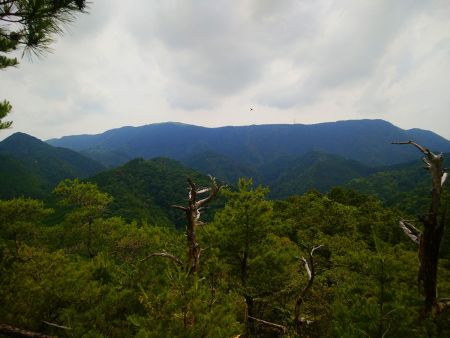 いい展望地にもなっている。左側のはげた山が岩湧山で編笠山も見える