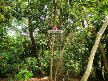 ふさなご林道って書かれたプレートがあったけど、何のことだろうか！？