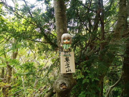 せっかくなので雪村あおいちゃんを撮影