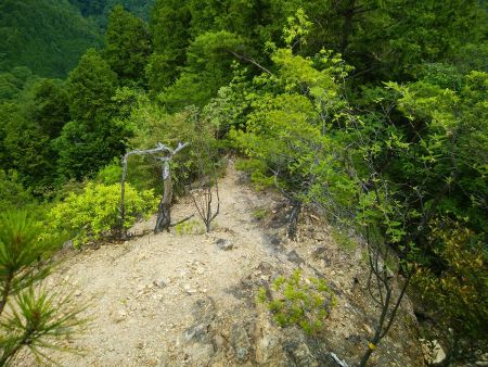 さて、下山するが、こういった砂地の下りは滑りやすいので慎重にいく
