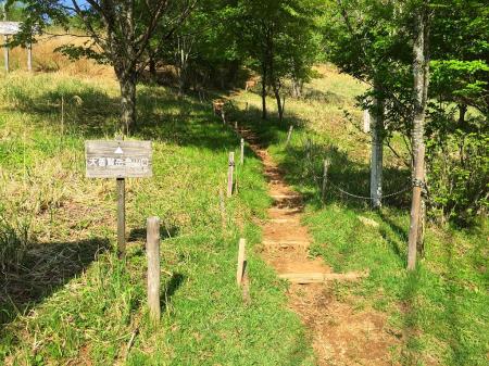 ここからスタート