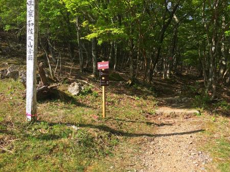 せっかくなので和佐又山も登ることにした