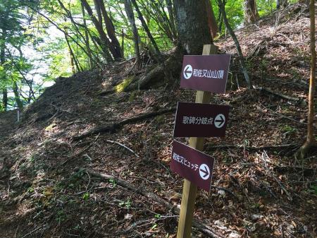 ゲレンデから登ってくるところ？と分岐