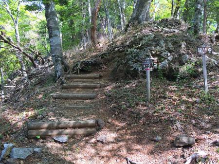 まだまだ登ります