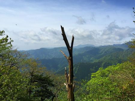 このあたりからは大峰の山々が望めるようになる