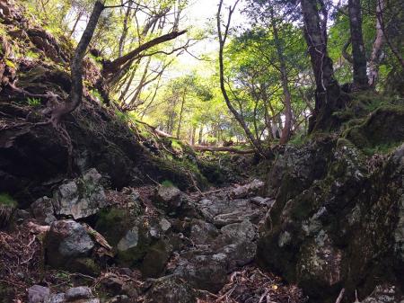 ここからようやく普賢3兄弟への登りにさしかかる