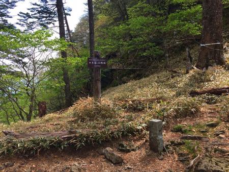 日本岳(孫普賢)のコルに到着