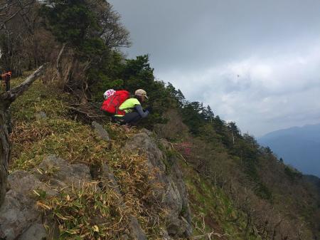 black703さん、横からみてると残骸絶壁ですが、花のためなら！？