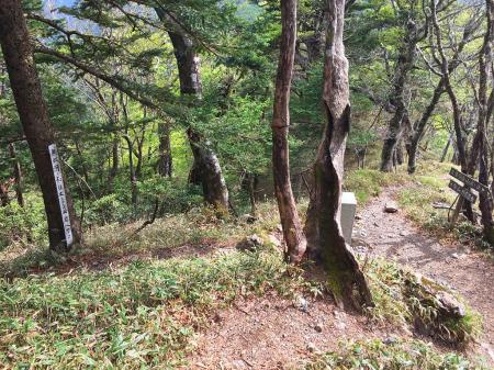 七曜岳から、周回ルート（無双洞）への分岐。もうこっちへは”絶対に”いきません！！