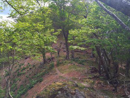 行者還岳に向かいますが、ここからは比較的まだマシな登りでした